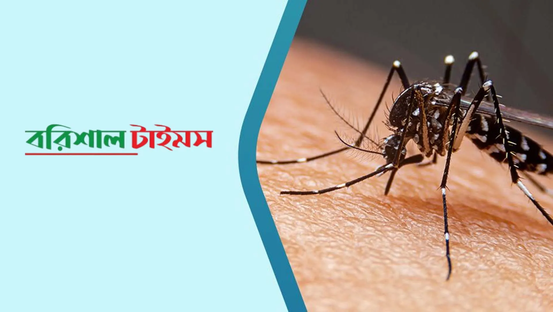 ডেঙ্গুতে আরও ৪ জনের মৃত্যু, হাসপাতালে ২৪৭